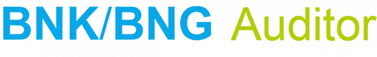 BNK-BNG_Auditor