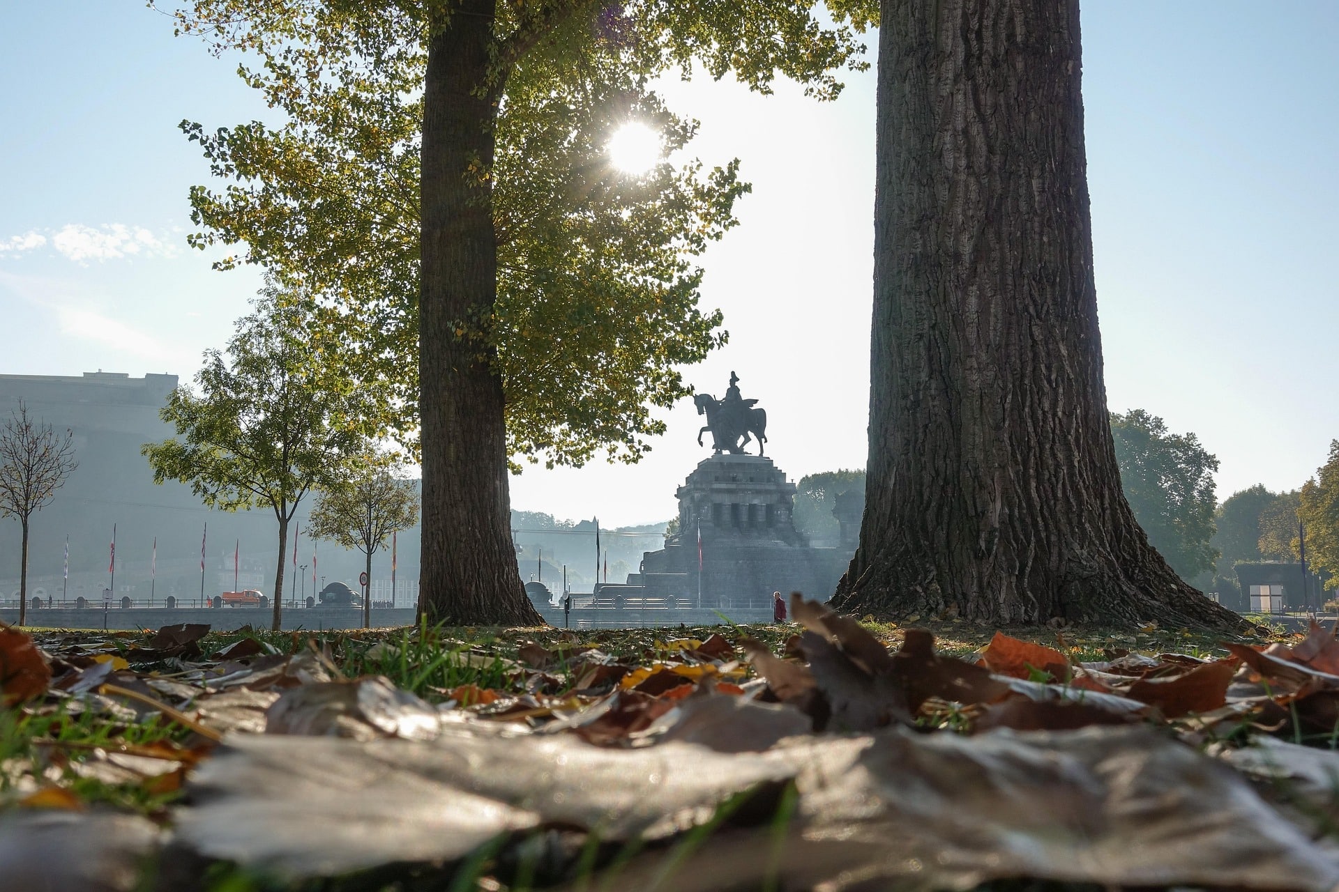 Generalunternehmer Koblenz: Bäume, Statue, Herbstblätter, Sonnenlicht